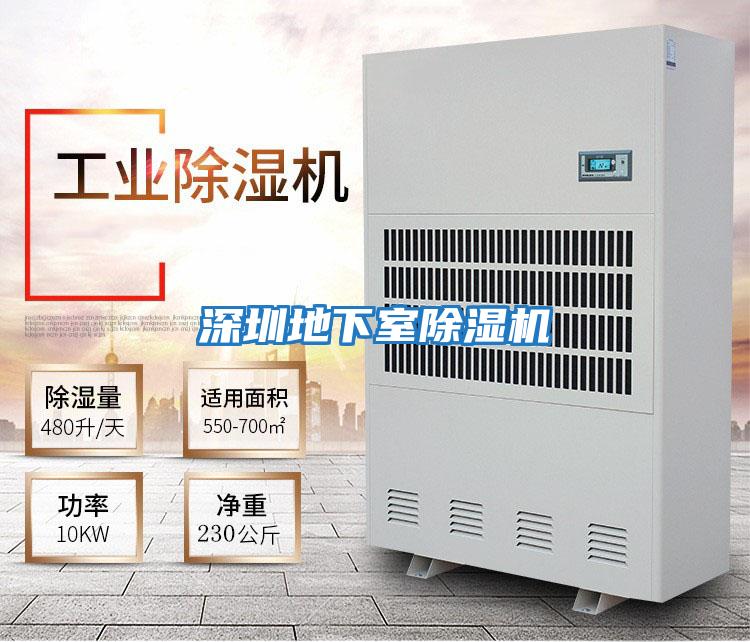 深圳地下室除濕機(jī)