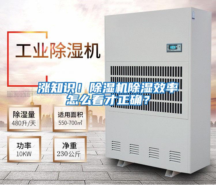 漲知識!除濕機除濕效率怎么看才正確?