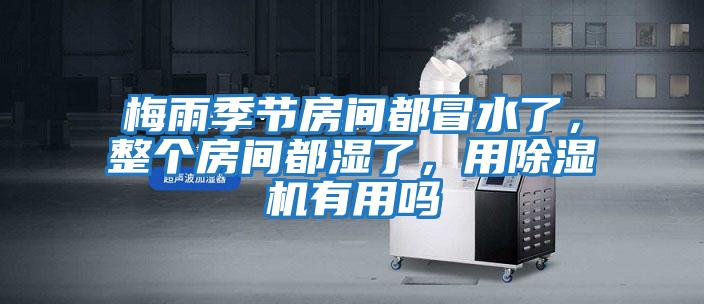 梅雨季節房間都冒水了，整個房間都濕了，用除濕機有用嗎