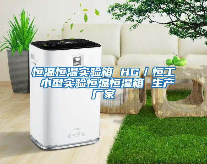 恒溫恒濕實驗箱 HG/恒工 小型實驗恒溫恒濕箱 生產(chǎn)廠家