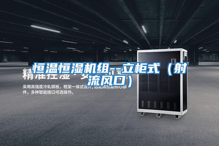 恒溫恒濕機(jī)組--立柜式(射流風(fēng)口)