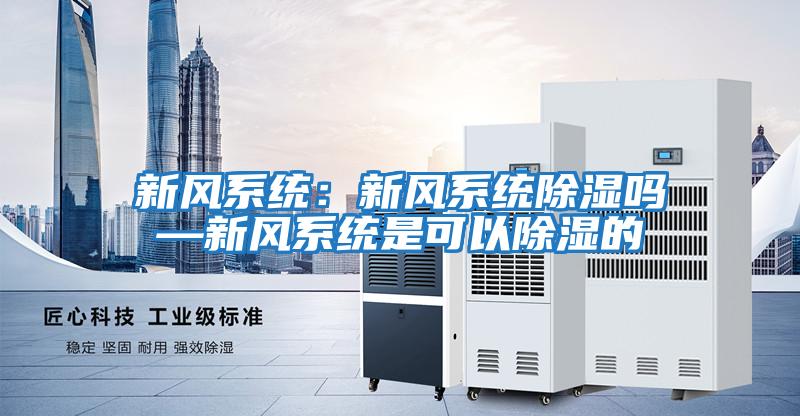 新風系統:新風系統除濕嗎—新風系統是可以除濕的