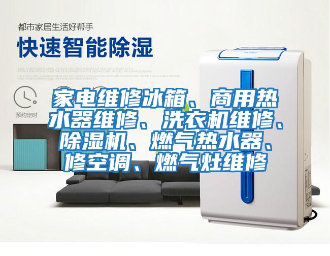 家電維修冰箱、商用熱水器維修、洗衣機(jī)維修、除濕機(jī)、燃?xì)鉄崴鳌⑿蘅照{(diào)、燃?xì)庠罹S修