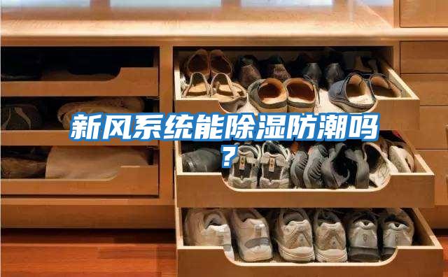新風系統能除濕防潮嗎？