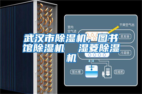 武漢市除濕機，圖書館除濕機  濕菱除濕機