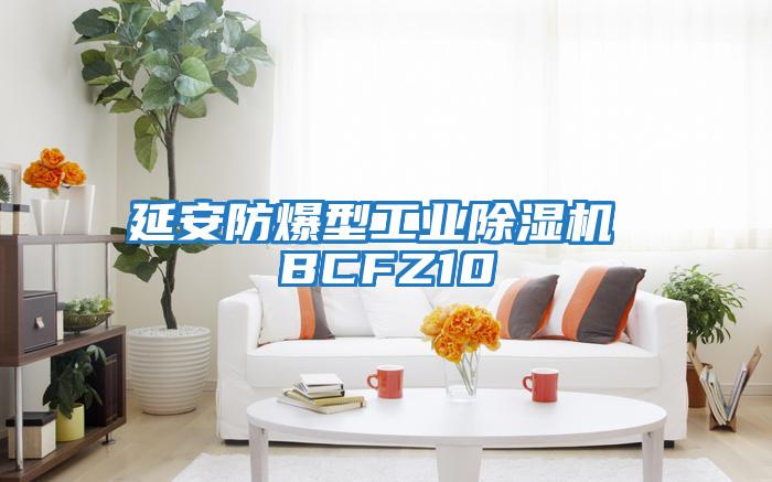 延安防爆型工業除濕機 BCFZ10