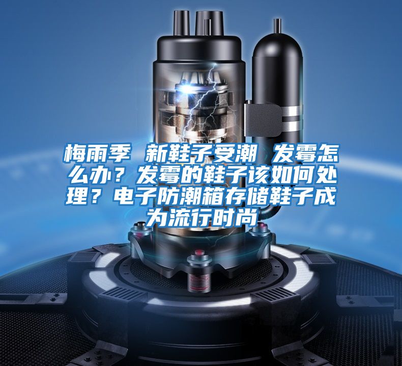 梅雨季 新鞋子受潮 發霉怎么辦？發霉的鞋子該如何處理？電子防潮箱存儲鞋子成為流行時尚