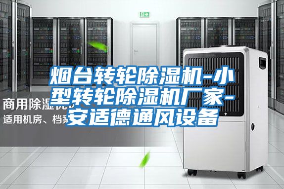 煙臺轉(zhuǎn)輪除濕機(jī)-小型轉(zhuǎn)輪除濕機(jī)廠家-安適德通風(fēng)設(shè)備