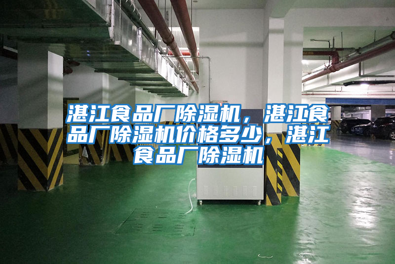湛江食品廠除濕機，湛江食品廠除濕機價格多少，湛江食品廠除濕機