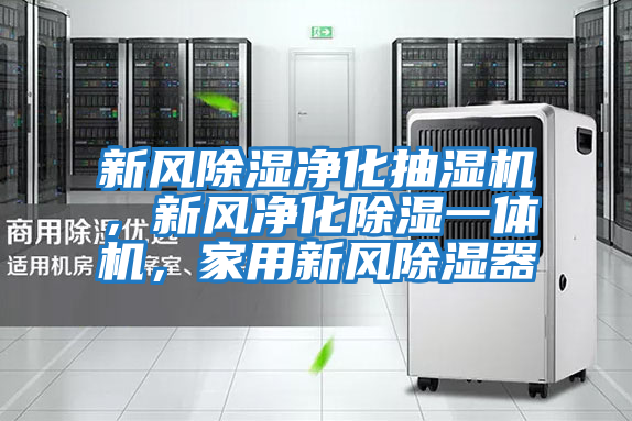 新風除濕凈化抽濕機,新風凈化除濕一體機,家用新風除濕器