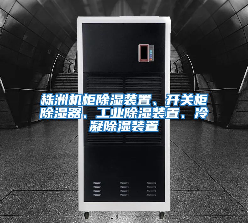 株洲機(jī)柜除濕裝置、開(kāi)關(guān)柜除濕器、工業(yè)除濕裝置、冷凝除濕裝置