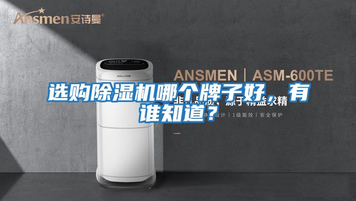 選購除濕機(jī)哪個(gè)牌子好，有誰知道？