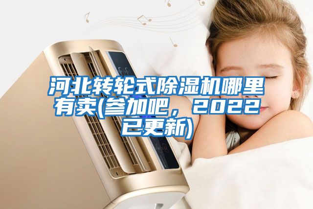 河北轉輪式除濕機哪里有賣(參加吧,2022已更新)