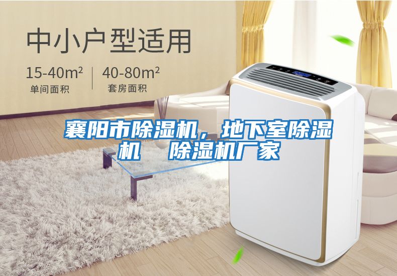 襄陽市除濕機，地下室除濕機  除濕機廠家