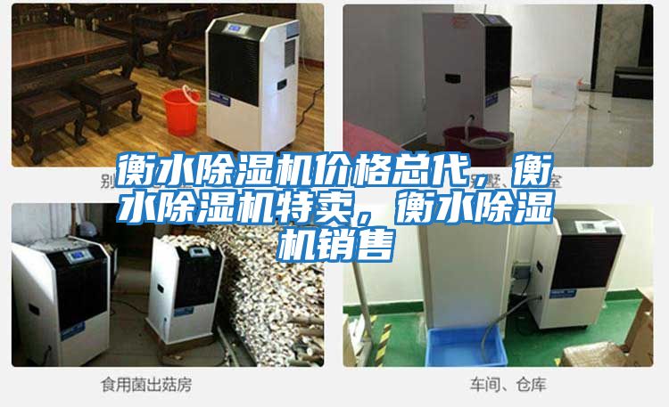 衡水除濕機(jī)價(jià)格總代，衡水除濕機(jī)特賣(mài)，衡水除濕機(jī)銷(xiāo)售