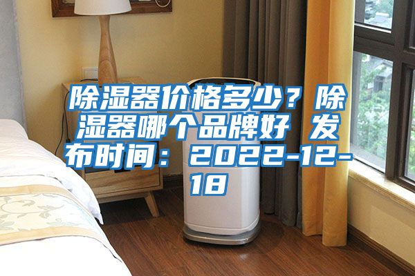 除濕器價格多少？除濕器哪個品牌好 發布時間：2022-12-18