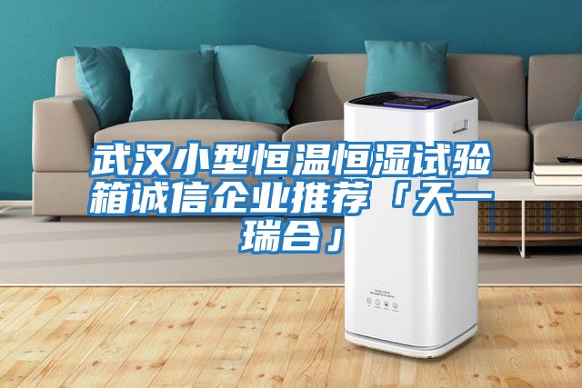 武漢小型恒溫恒濕試驗(yàn)箱誠信企業(yè)推薦「天一瑞合」