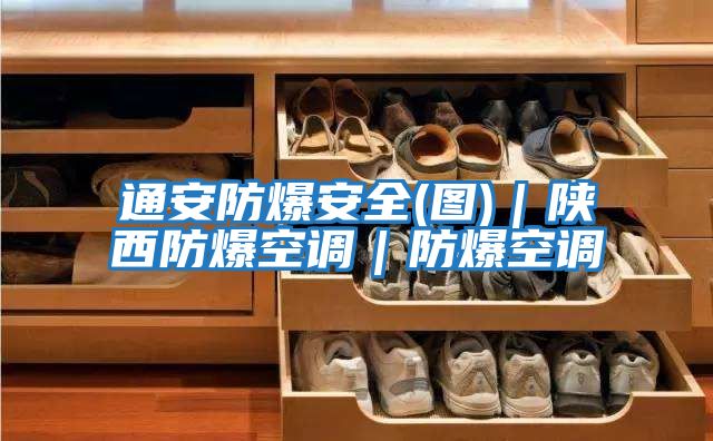 通安防爆安全(圖)|陜西防爆空調(diào)|防爆空調(diào)