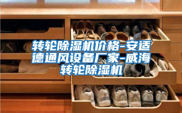 轉(zhuǎn)輪除濕機(jī)價(jià)格-安適德通風(fēng)設(shè)備廠(chǎng)家-威海轉(zhuǎn)輪除濕機(jī)