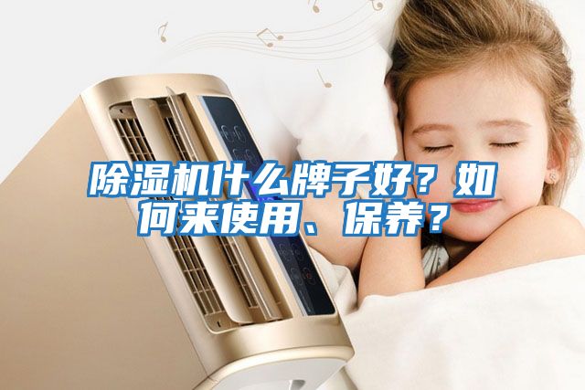 除濕機什么牌子好？如何來使用、保養(yǎng)？