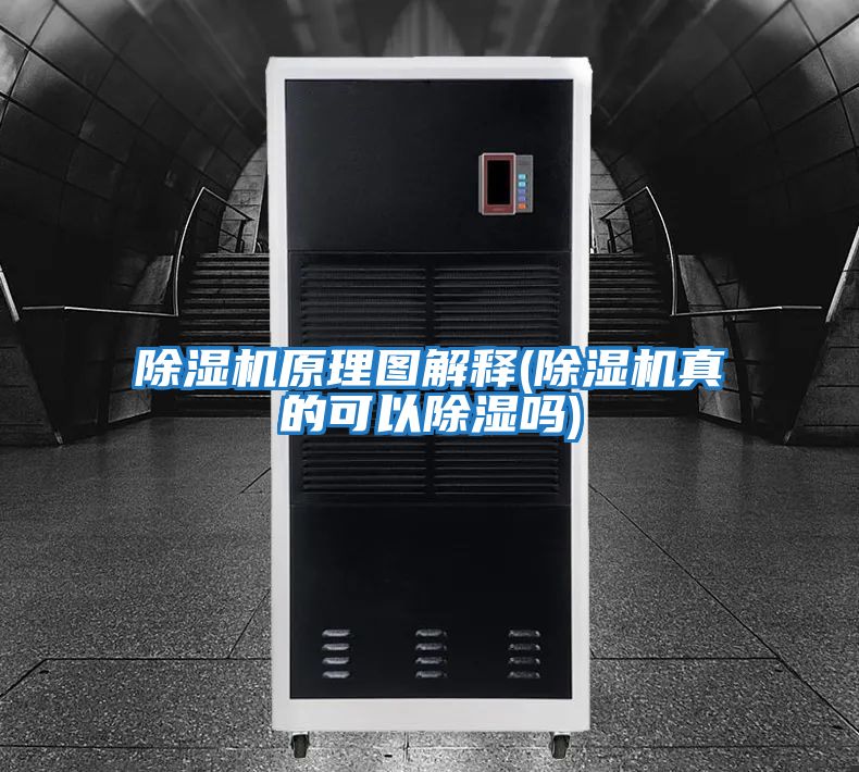 除濕機(jī)原理圖解釋(除濕機(jī)真的可以除濕嗎)