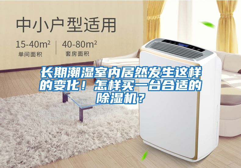 長期潮濕室內居然發生這樣的變化！怎樣買一臺合適的除濕機？