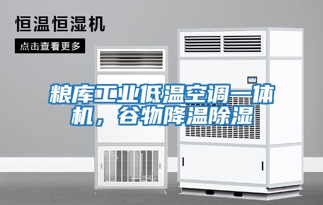 糧庫工業低溫空調一體機,谷物降溫除濕