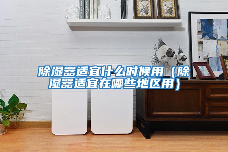 除濕器適宜什么時(shí)候用(除濕器適宜在哪些地區(qū)用)