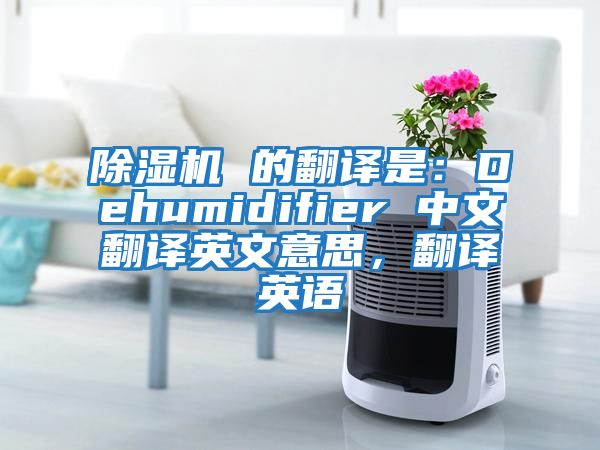 除濕機(jī) 的翻譯是：Dehumidifier 中文翻譯英文意思，翻譯英語