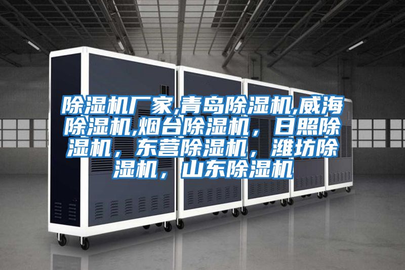 除濕機(jī)廠家,青島除濕機(jī),威海除濕機(jī),煙臺(tái)除濕機(jī),日照除濕機(jī),東營除濕機(jī),濰坊除濕機(jī),山東除濕機(jī)