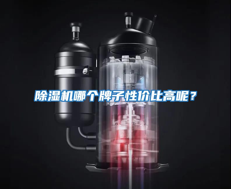 除濕機哪個牌子性價比高呢？