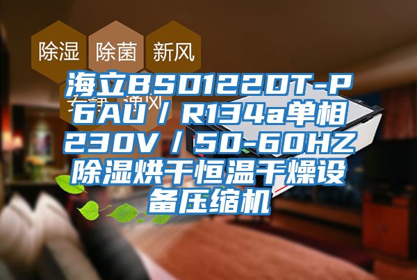 海立BSD122DT-P6AU/R134a單相230V/50-60HZ除濕烘干恒溫干燥設(shè)備壓縮機