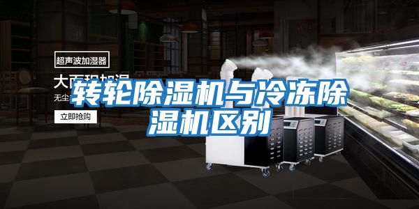 轉輪除濕機與冷凍除濕機區(qū)別