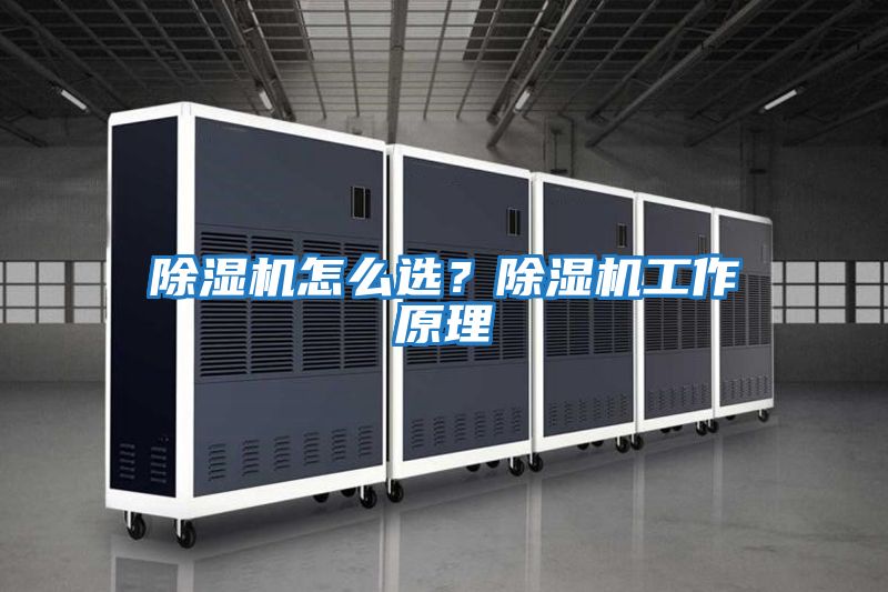 除濕機怎么選？除濕機工作原理