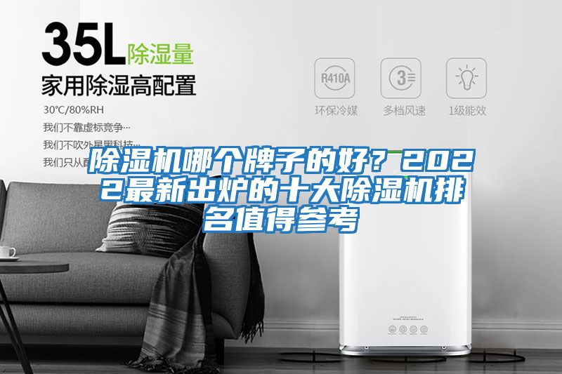 除濕機哪個牌子的好？2022最新出爐的十大除濕機排名值得參考