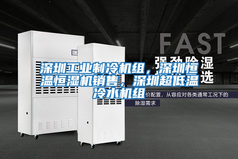 深圳工業(yè)制冷機(jī)組，深圳恒溫恒濕機(jī)銷售，深圳超低溫冷水機(jī)組