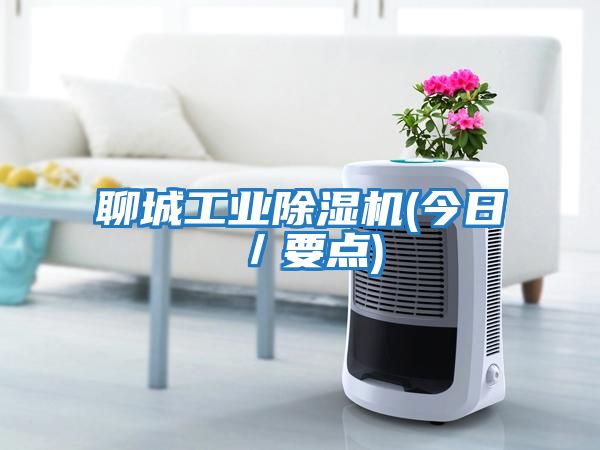 聊城工業除濕機(今日／要點)