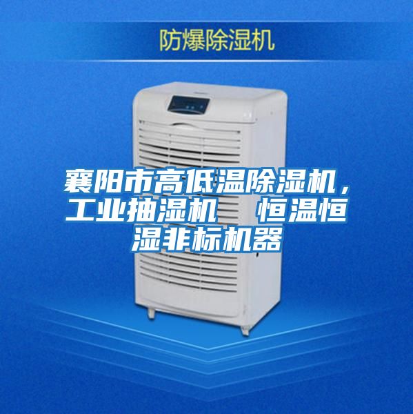 襄陽市高低溫除濕機，工業抽濕機  恒溫恒濕非標機器