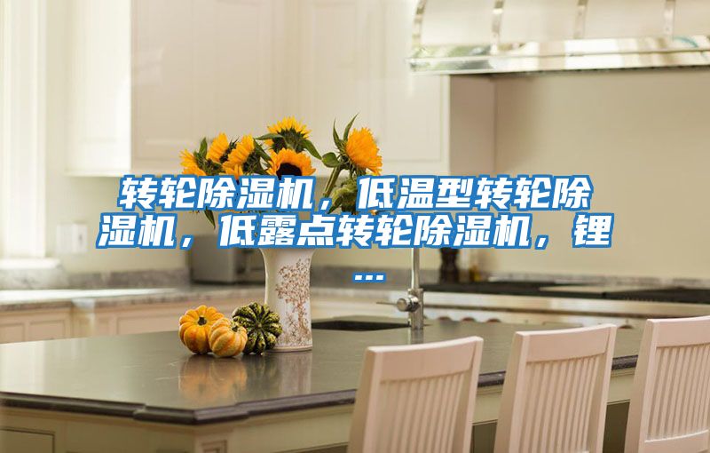 轉(zhuǎn)輪除濕機,低溫型轉(zhuǎn)輪除濕機,低露點轉(zhuǎn)輪除濕機,鋰 ...