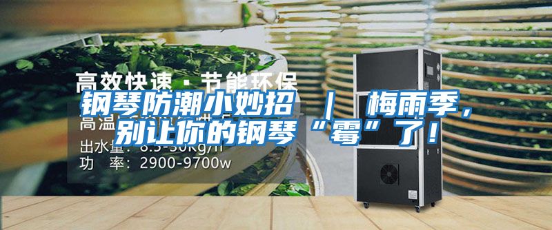 鋼琴防潮小妙招 ｜ 梅雨季，別讓你的鋼琴“霉”了！