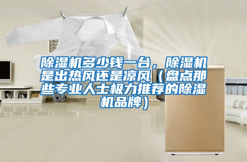 除濕機多少錢一臺，除濕機是出熱風還是涼風（盤點那些專業(yè)人士極力推薦的除濕機品牌）