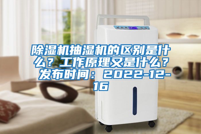 除濕機抽濕機的區別是什么?工作原理又是什么? 發布時間:2022-12-16