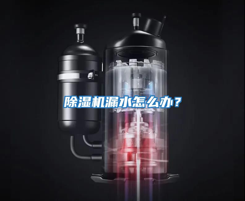 除濕機漏水怎么辦？