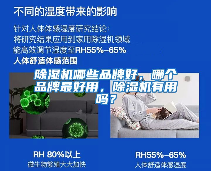 除濕機哪些品牌好,哪個品牌最好用,除濕機有用嗎?