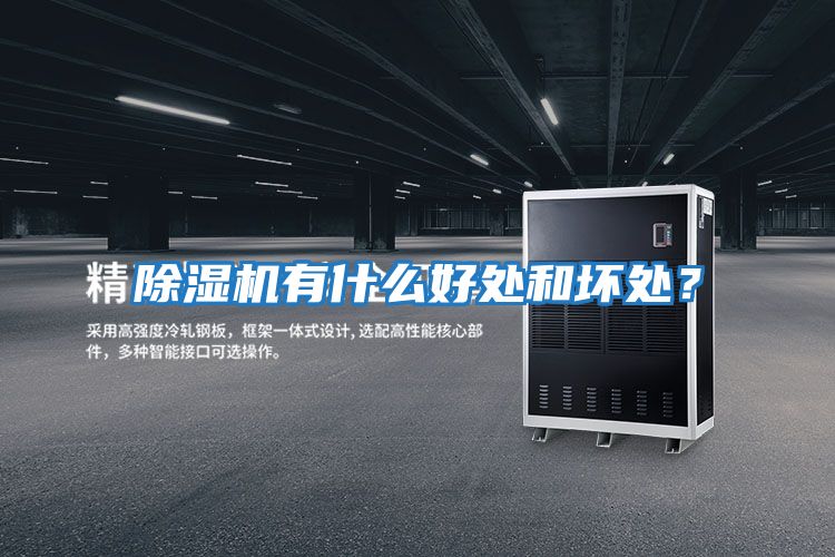 除濕機有什么好處和壞處？