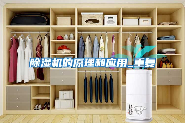 除濕機的原理和應(yīng)用_重復(fù)