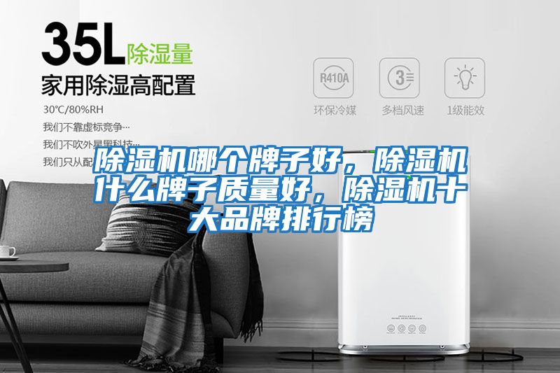 除濕機(jī)哪個牌子好,除濕機(jī)什么牌子質(zhì)量好,除濕機(jī)十大品牌排行榜
