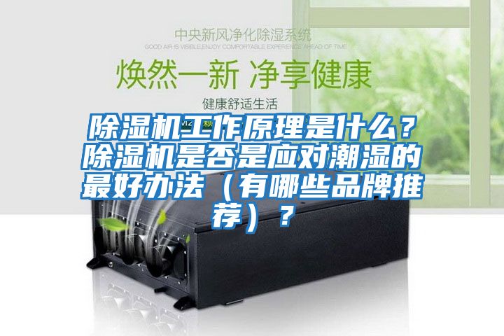 除濕機工作原理是什么？除濕機是否是應對潮濕的最好辦法（有哪些品牌推薦）？