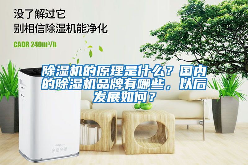 除濕機的原理是什么？國內(nèi)的除濕機品牌有哪些，以后發(fā)展如何？