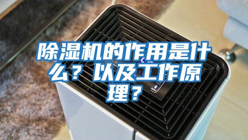除濕機的作用是什么?以及工作原理?